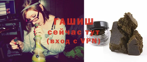 гидра Новодвинск