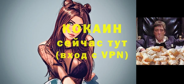 СК Волоколамск