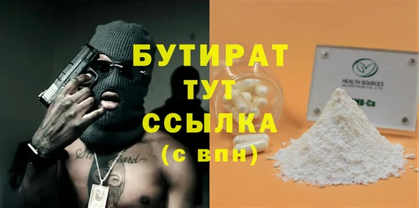 гидра Новодвинск