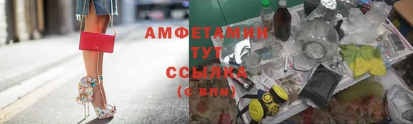 гидра Новодвинск