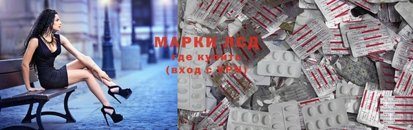 ALPHA-PVP Новозыбков