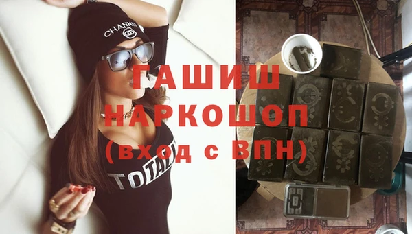 гидра Новодвинск
