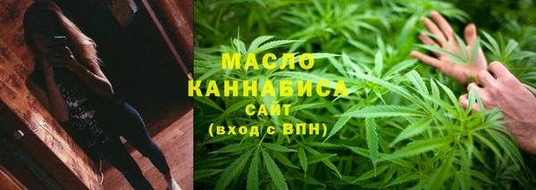 гидра Новодвинск