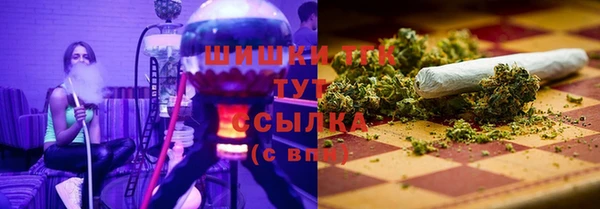 ALPHA-PVP Новозыбков