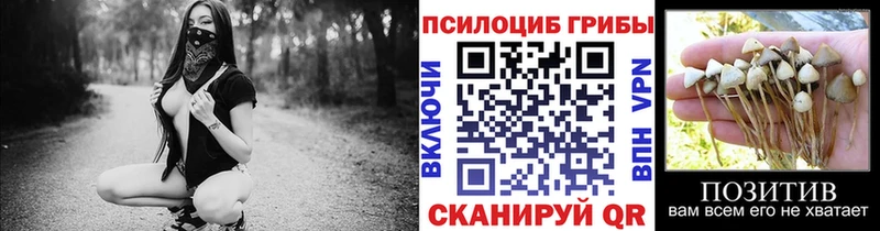 Галлюциногенные грибы прущие грибы  Аша 
