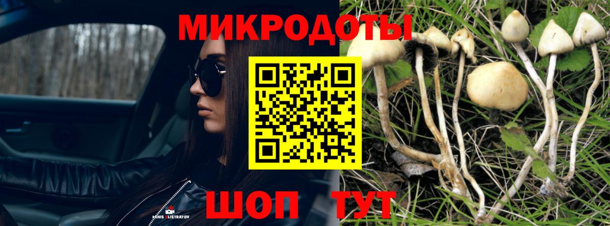 Аша  Псилоцибиновые грибы ЛСД  Вход с VPN  Псилоцибиновые грибы Psilocybine cubensis 