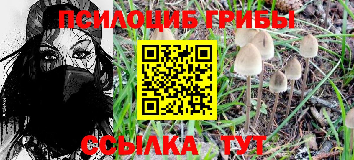 Галлюциногенные грибы мицелий  Аша 