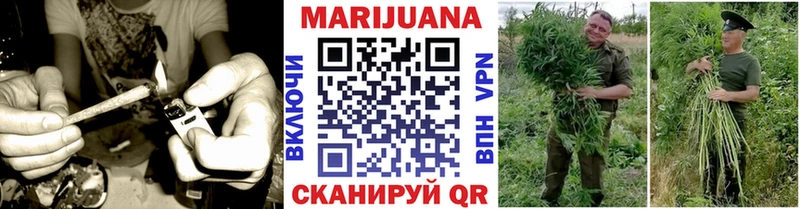 Бошки марихуана Amnesia Аша